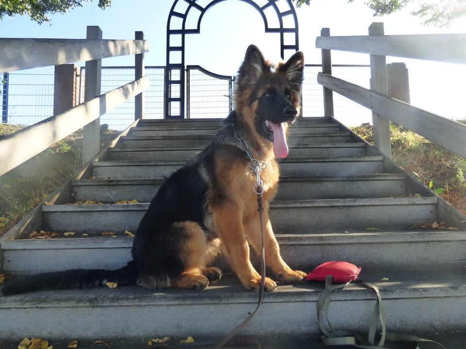 Olygan du Domaine de l'Estran (Bacara & Iliano)
